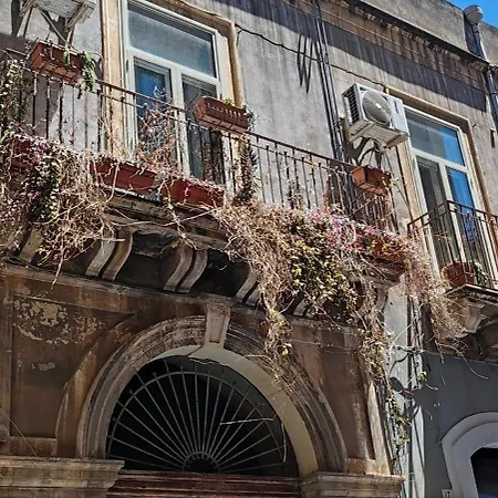 Allegra House *